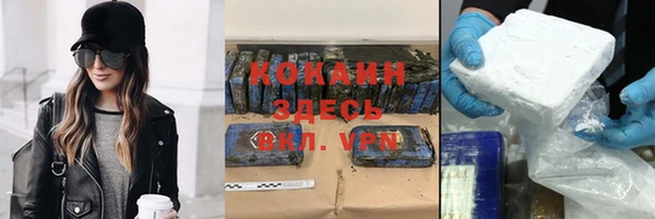 кокс Алексин