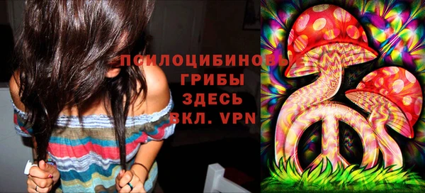винт Алексеевка
