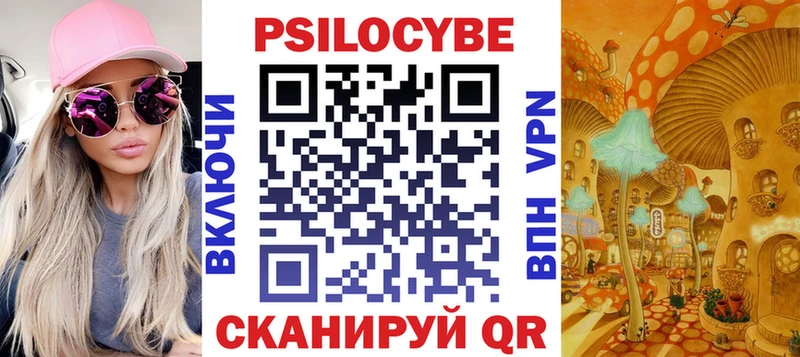 Псилоцибиновые грибы Magic Shrooms  Купить закладки  Черногорск 