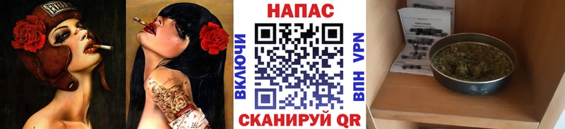 Конопля Amnesia  Купить где  Черногорск 